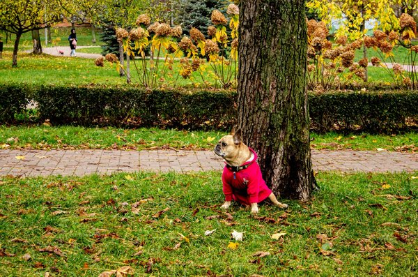 Comment la nutrition personnalisée peut-elle influencer notre bien-être ?