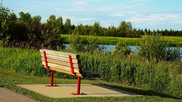 Découvrez comment le stress peut déclencher des problèmes de gencives